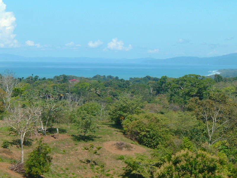 0 bed Land For Sale in Pavones, Puntarenas - 1