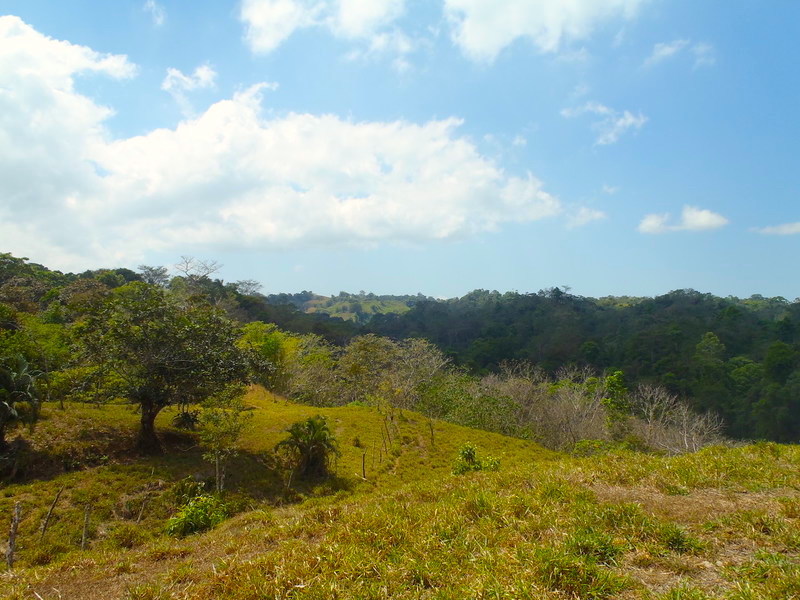0 bed Land For Sale in Pavones, Puntarenas - 1