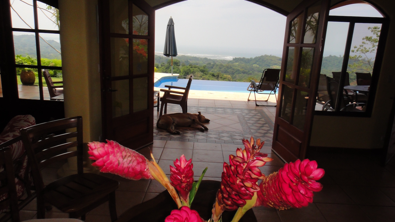 3 bed Single Family Homes For Sale in Ojochal, Puntarenas - thumb 2