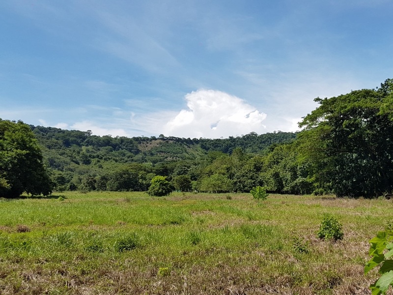 0 bed Land For Sale in Herradura, Puntarenas - 1