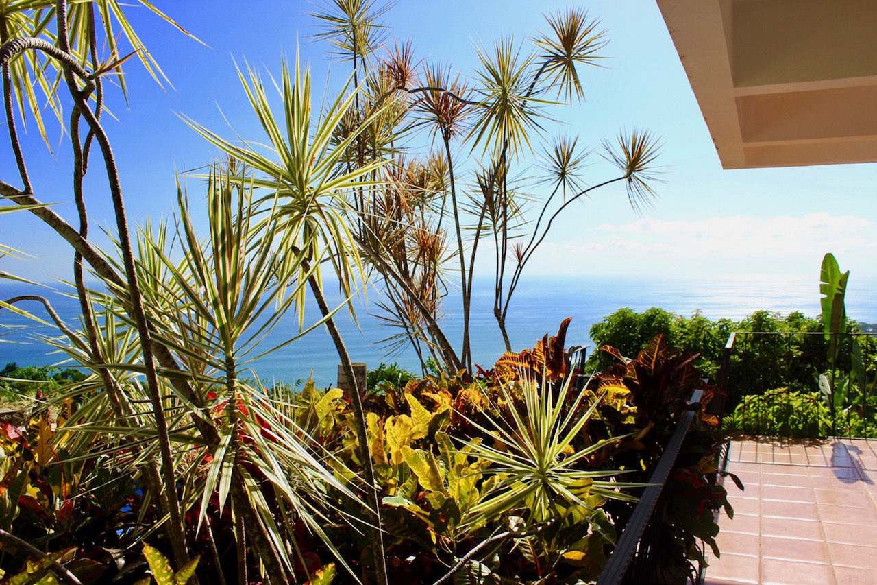 5 bed Single Family Homes For Sale in Dominical, Puntarenas - thumb 17