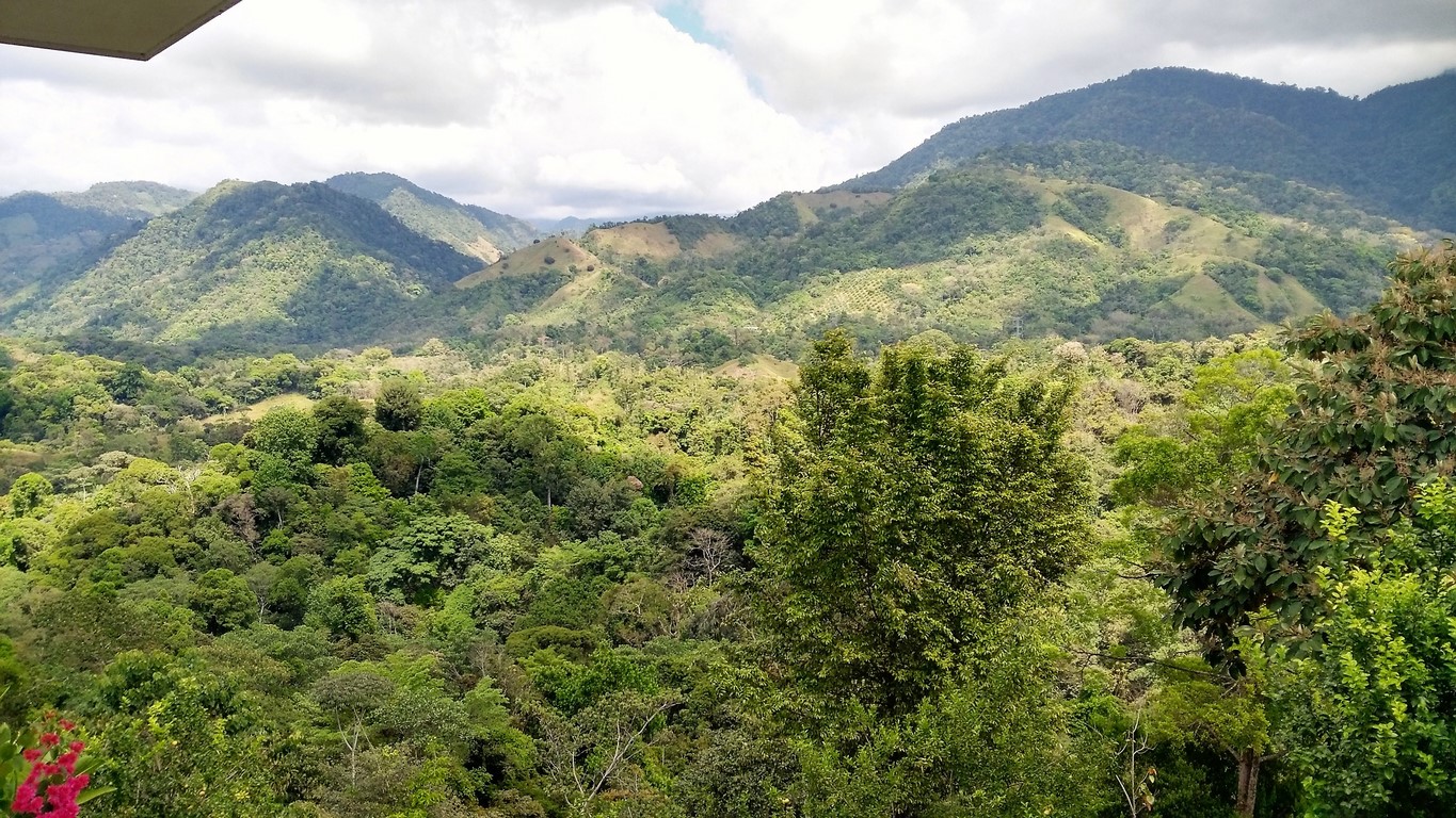 3 bed Single Family Homes For Sale in Quepos, Puntarenas - thumb 19