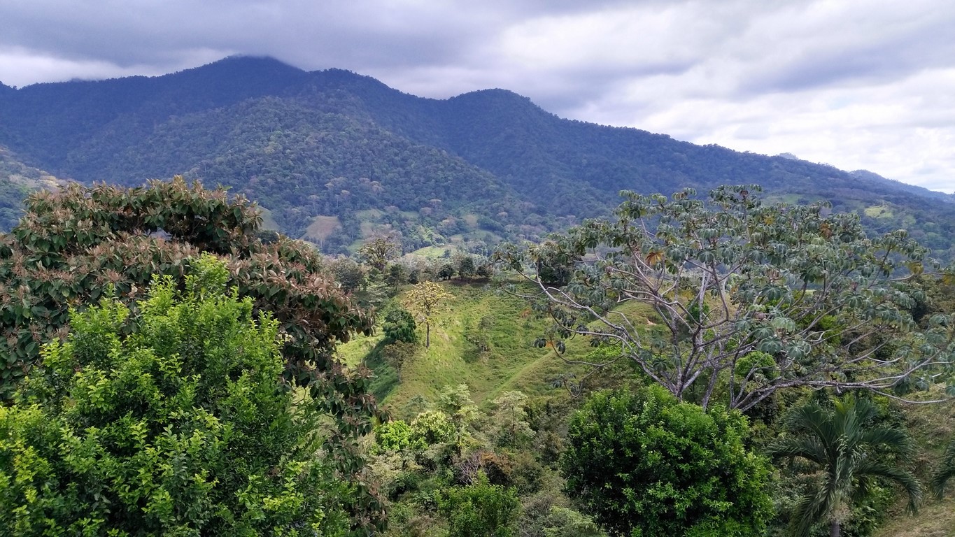 3 bed Single Family Homes For Sale in Quepos, Puntarenas - thumb 20