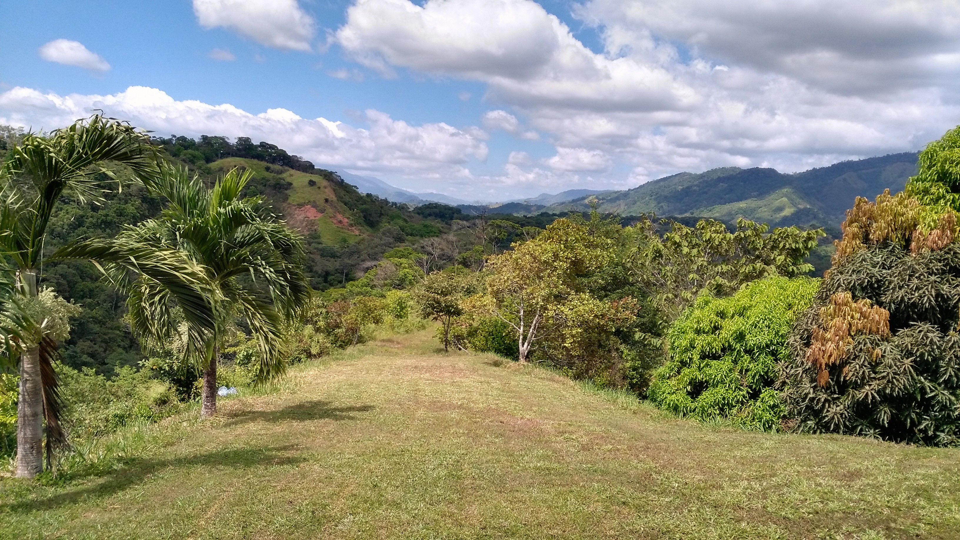 3 bed Single Family Homes For Sale in Quepos, Puntarenas - thumb 21