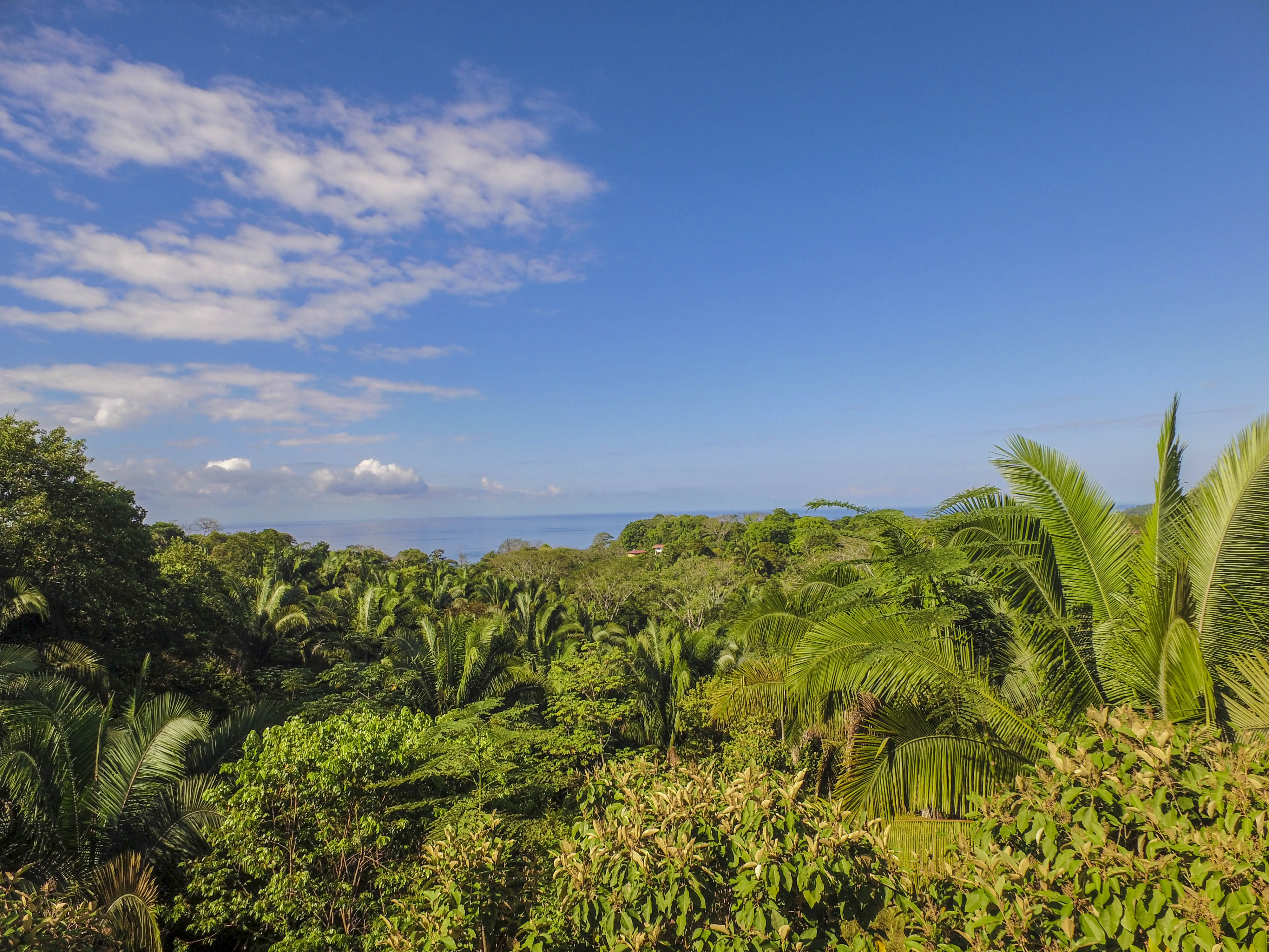 0 bed Land For Sale in Uvita, Puntarenas - thumb 16