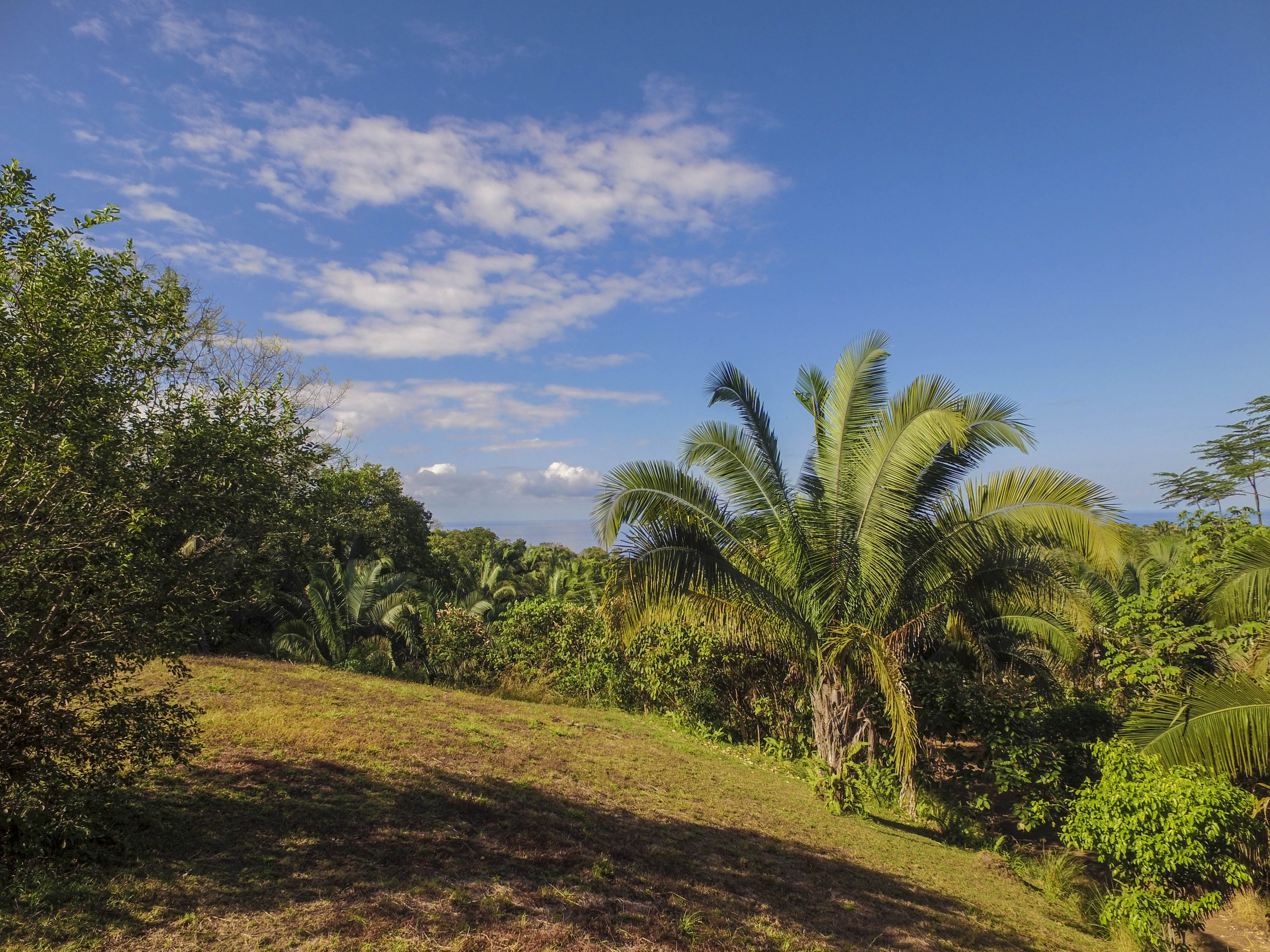 0 bed Land For Sale in Uvita, Puntarenas - thumb 17