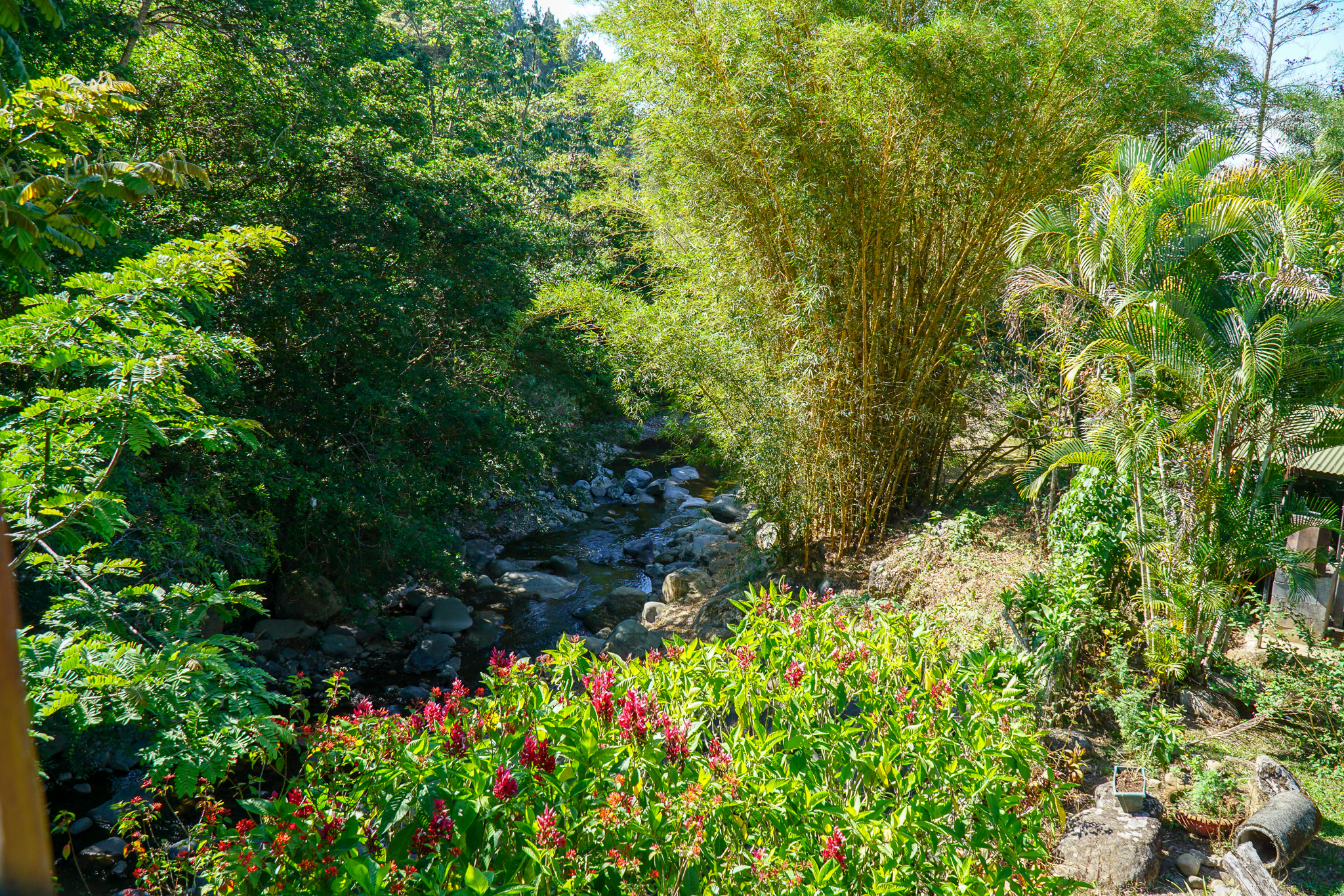 5 bed Single Family Homes For Sale in Perez Zeledon, San Jose - thumb 17