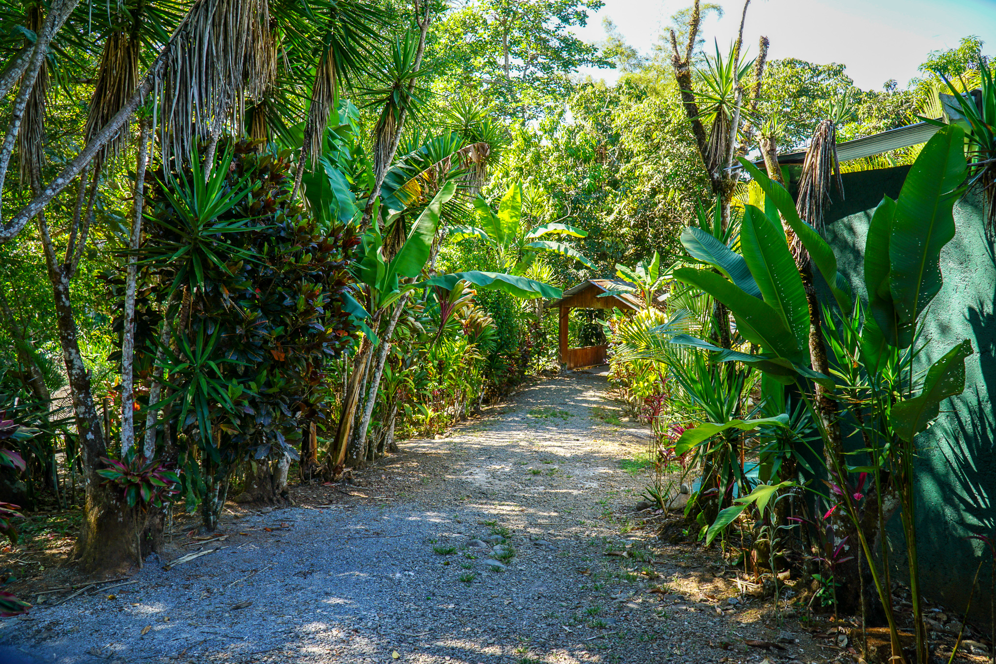 5 bed Single Family Homes For Sale in Perez Zeledon, San Jose - thumb 20