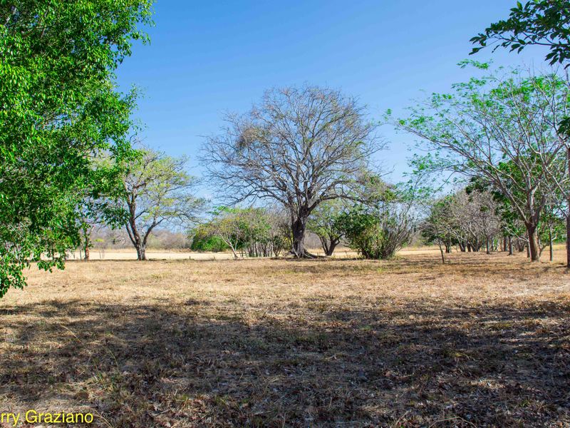 0 bed Land For Sale in San Jose De Pinilla, Guanacaste - thumb 3