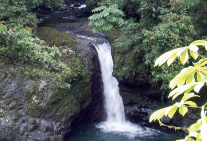 0 bed Land For Sale in Quepos, Puntarenas - thumb 1