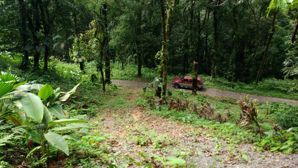 0 bed Land For Sale in Quepos, Puntarenas - thumb 4