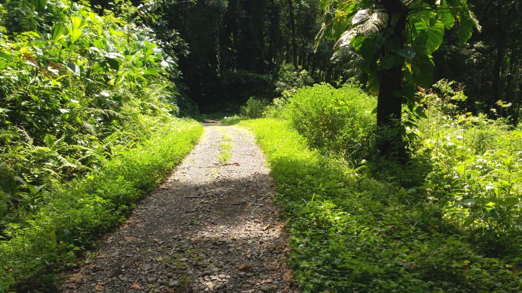 0 bed Land For Sale in Quepos, Puntarenas - thumb 5