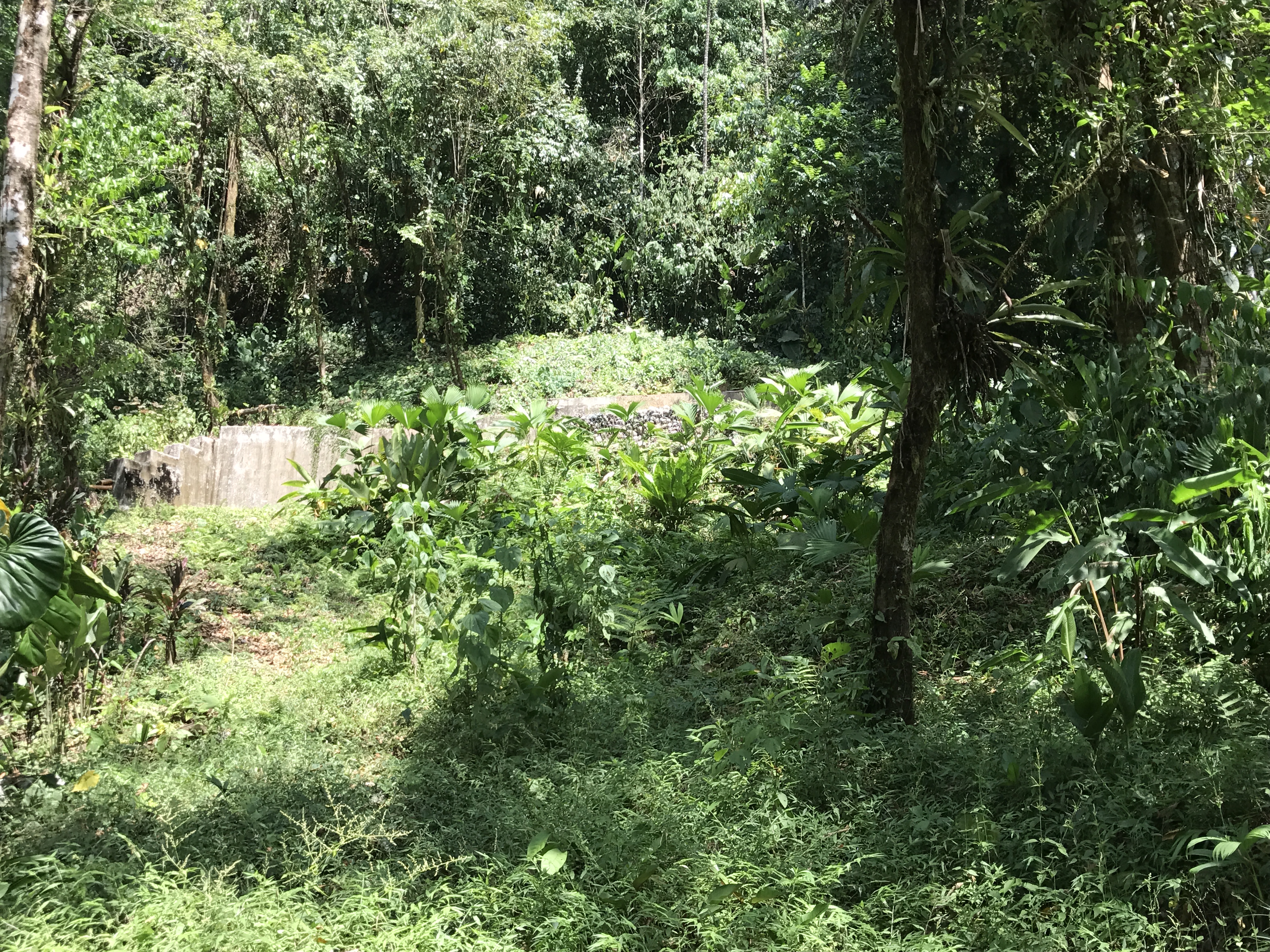 0 bed Land For Sale in Quepos, Puntarenas - thumb 8