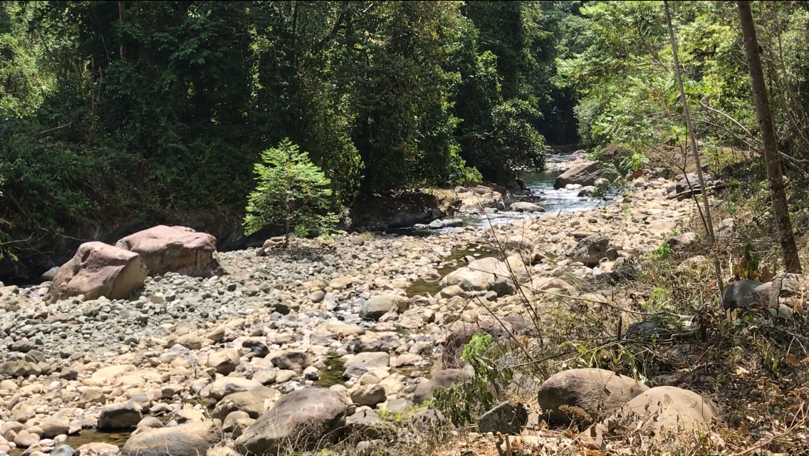 0 bed Land For Sale in Quepos, Puntarenas - thumb 9