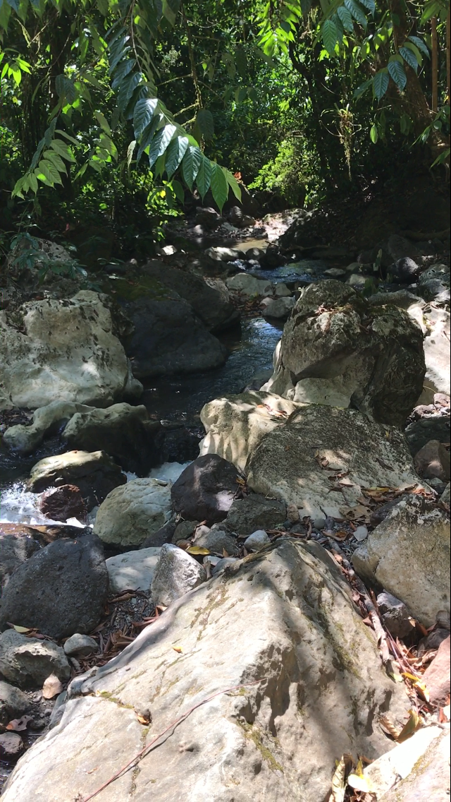 0 bed Land For Sale in Quepos, Puntarenas - thumb 10