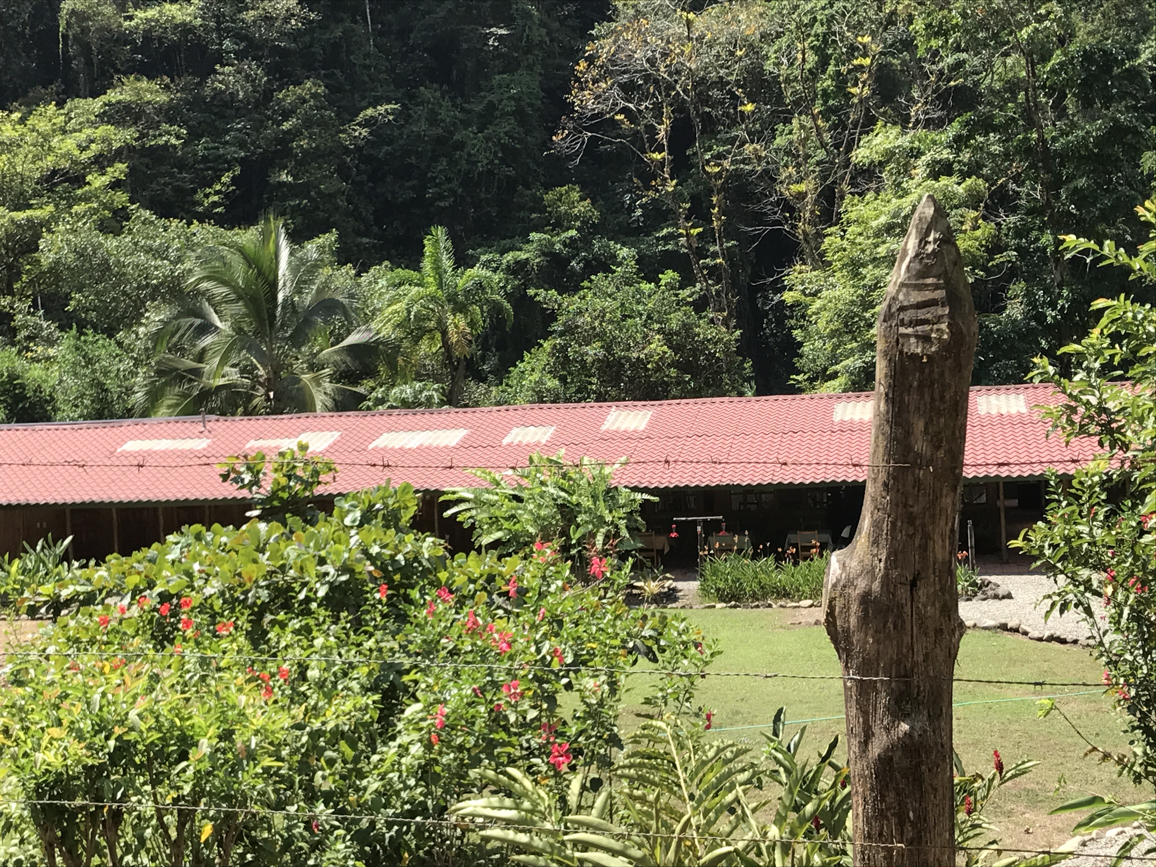 0 bed Land For Sale in Quepos, Puntarenas - thumb 12