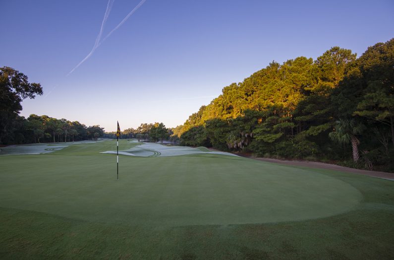 12 Green Meadow Lane Kiawah Island Real Estate