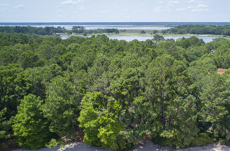 12 Green Meadow Lane Kiawah Island Real Estate
