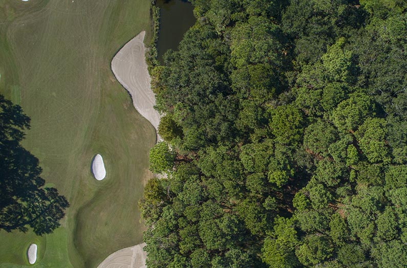 12 Green Meadow Lane Kiawah Island Real Estate