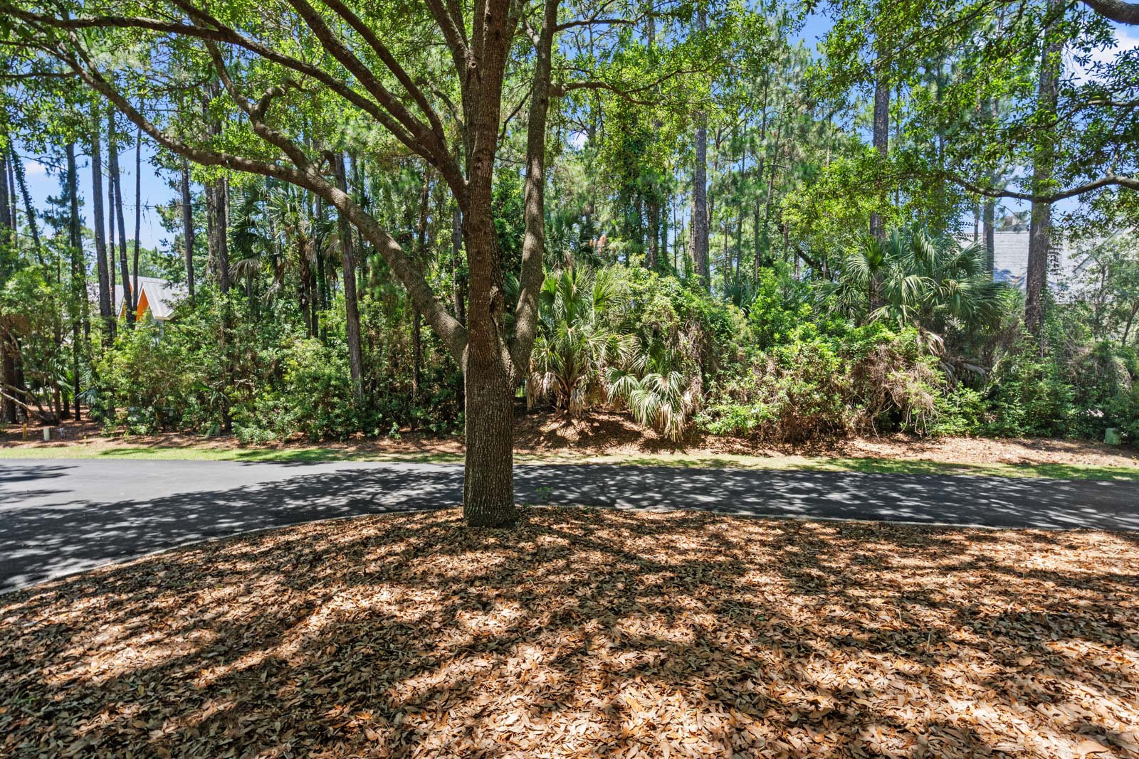 51 LeMoyne Ln