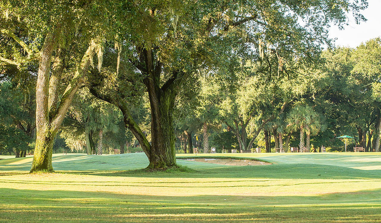 28 Green Meadow Ln Kiawah Island Real Estate