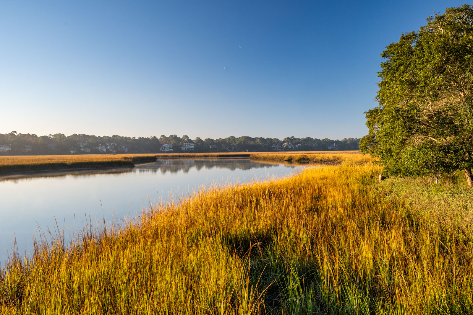 1 Captain Maynards Isl