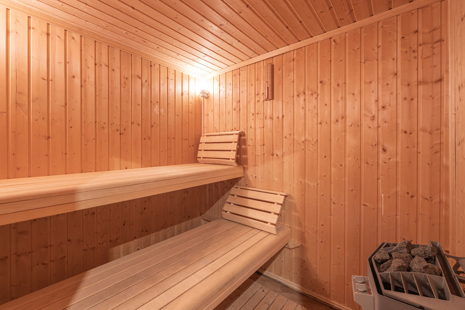 5 Bed chalet with view of La Muzelle 3