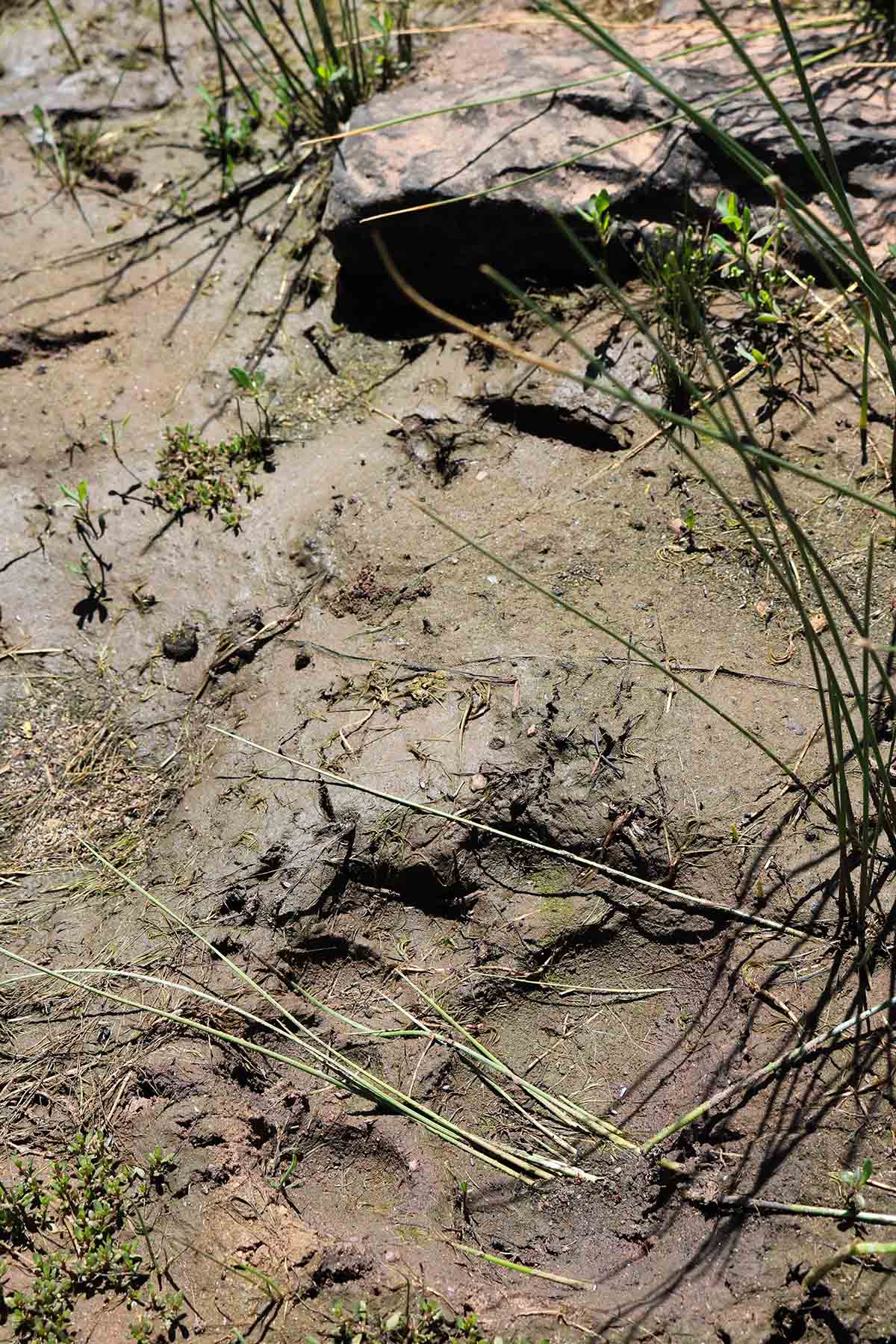 Snake River Land & Cattle Ranch property picture 45 of 59