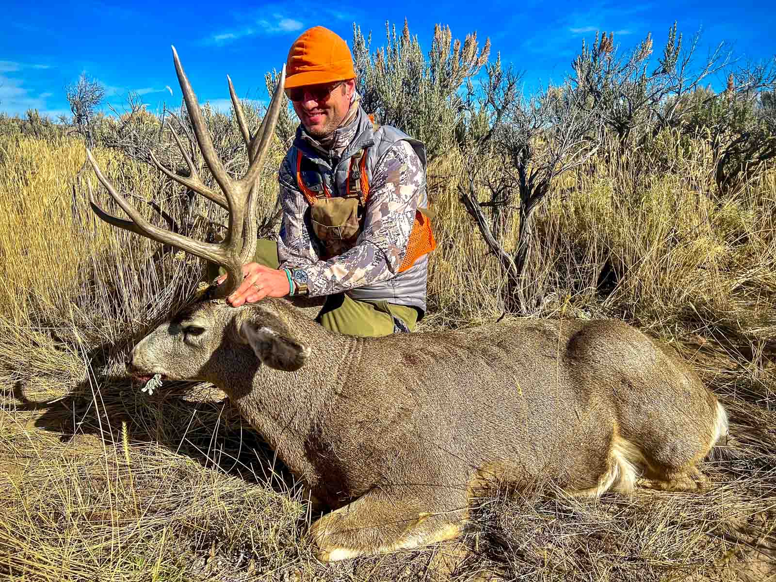 Snake River Land & Cattle Ranch property picture 10 of 59