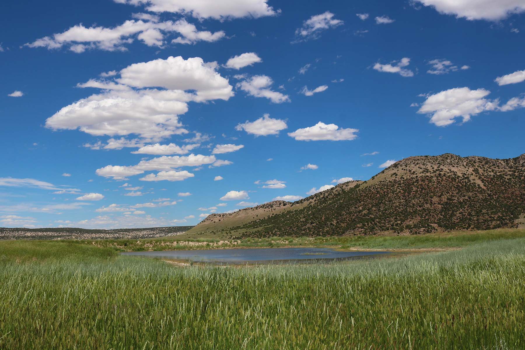 Snake River Land & Cattle Ranch property picture 2 of 59