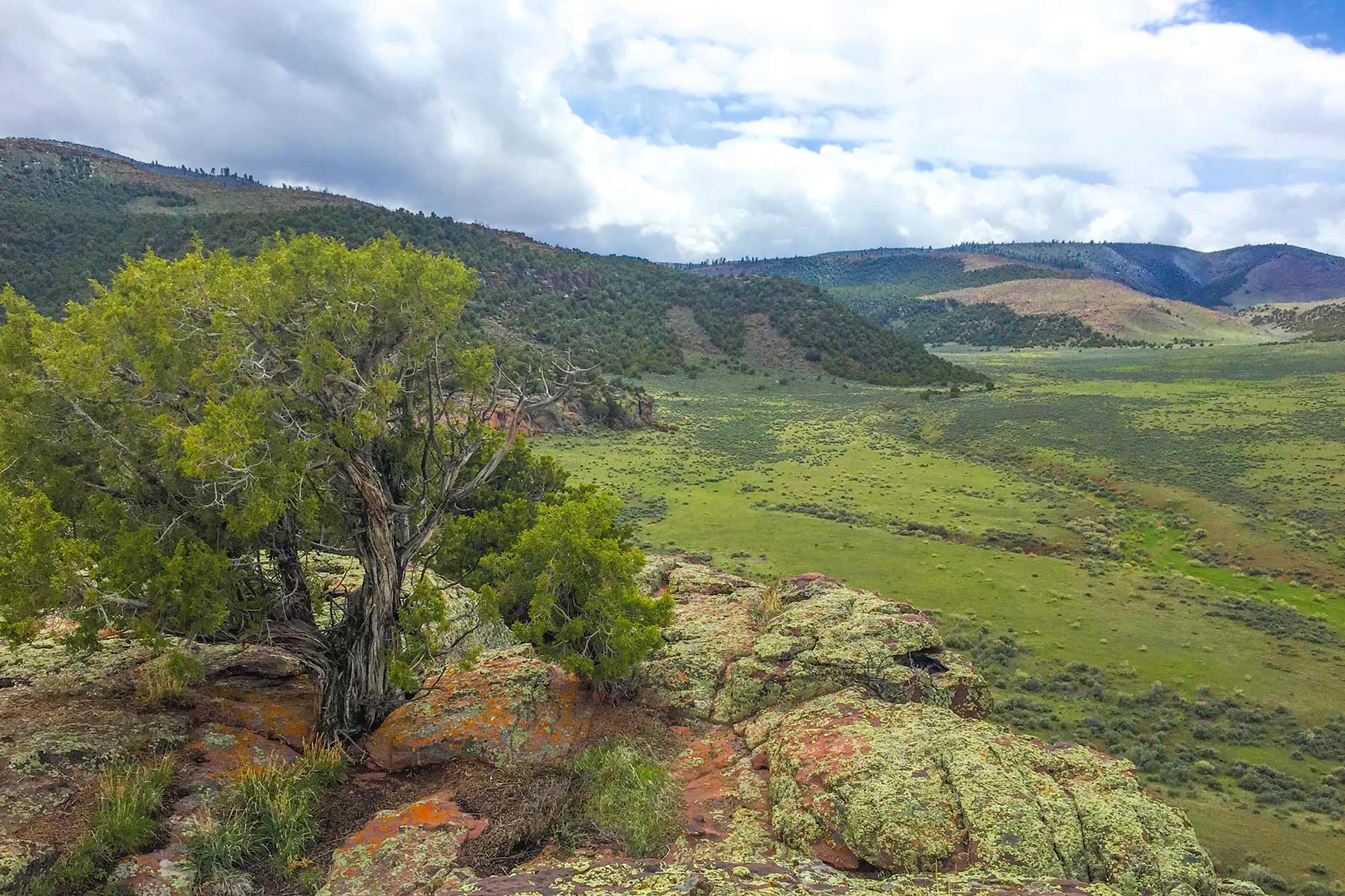 Snake River Land & Cattle Ranch property picture 5 of 59