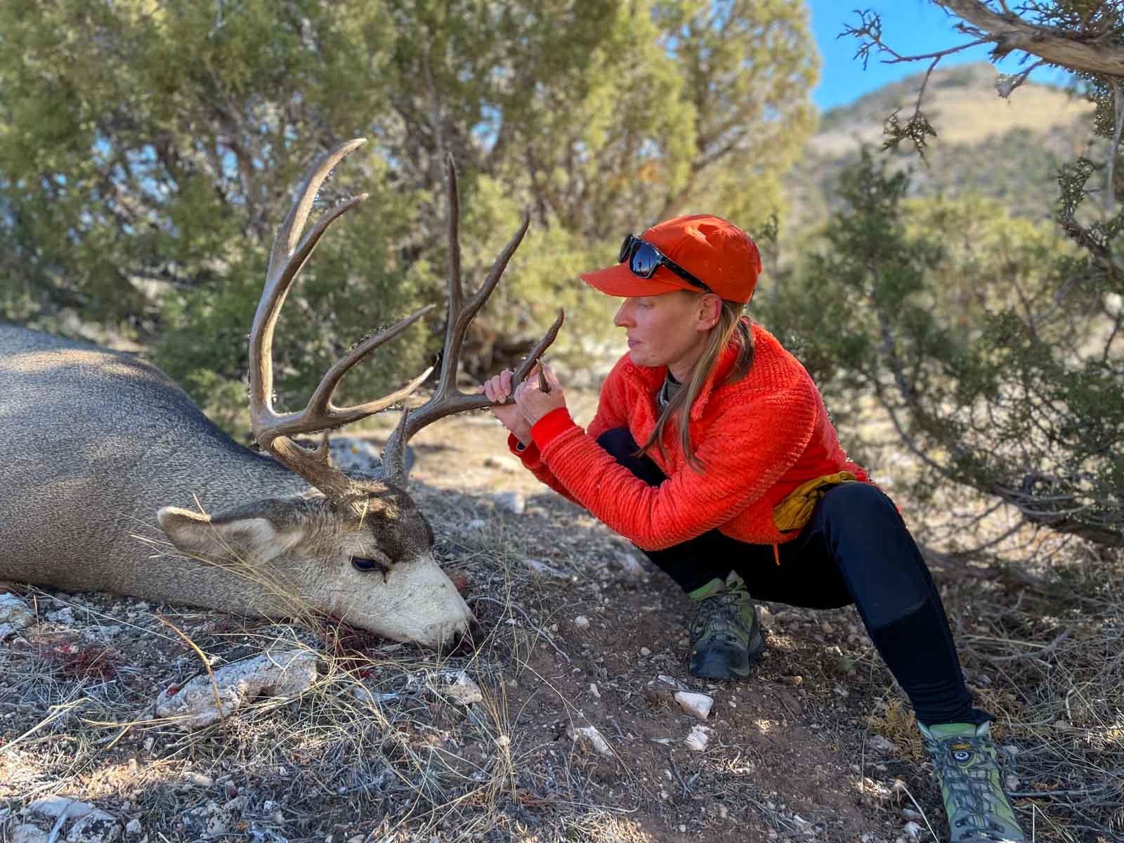 Snake River Land & Cattle Ranch property picture 6 of 59