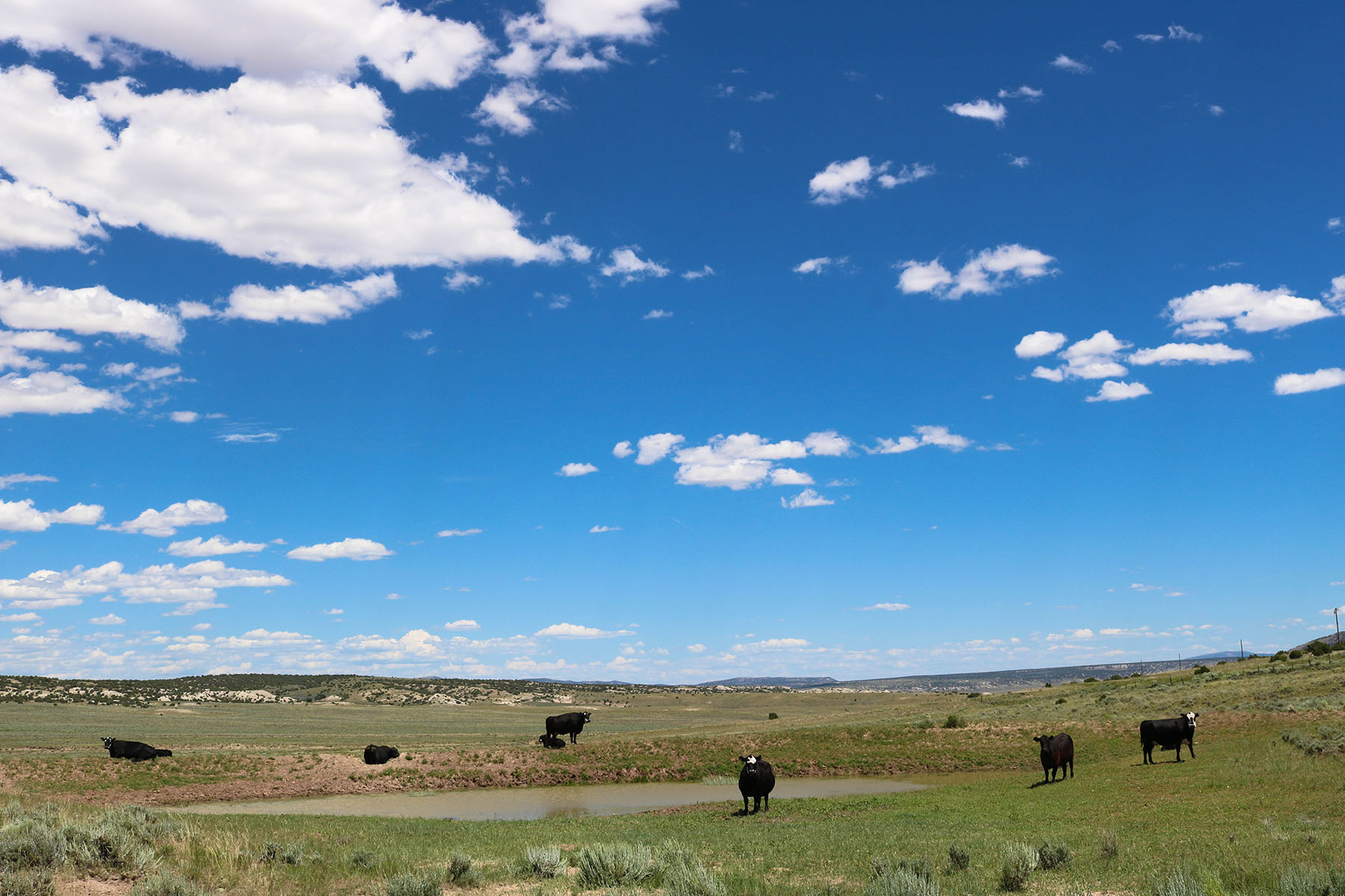 Snake River Land & Cattle Ranch Hall and Hall