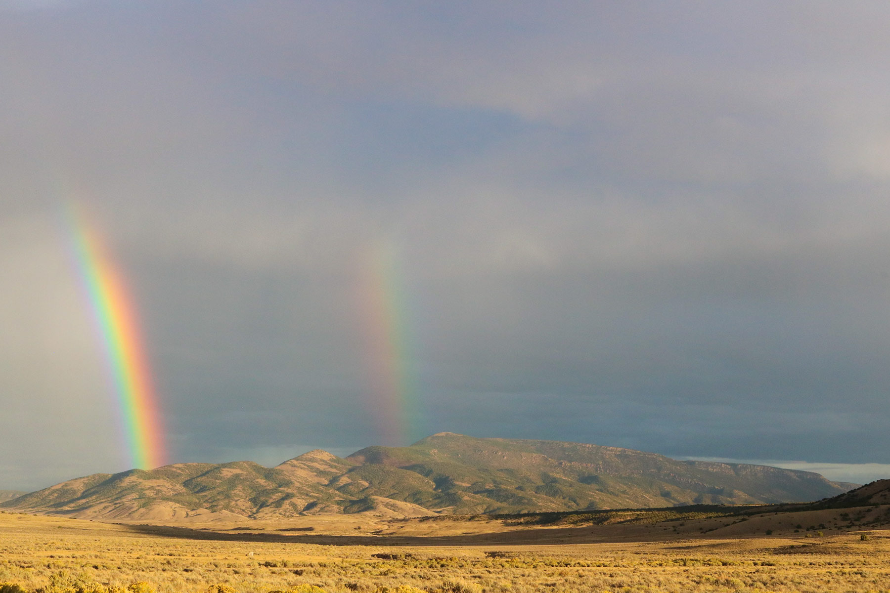 Snake River Land & Cattle Ranch property picture 44 of 59