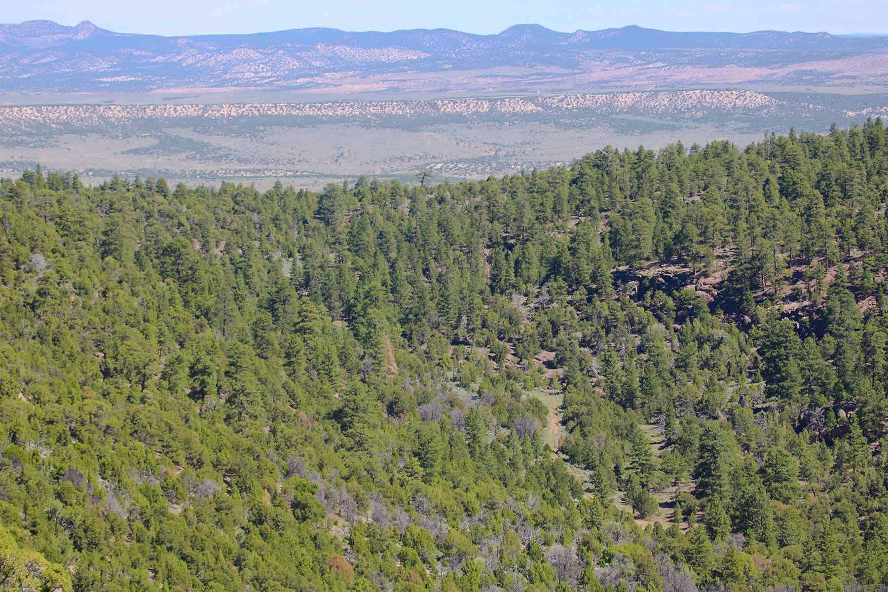 Snake River Land & Cattle Ranch Hall and Hall