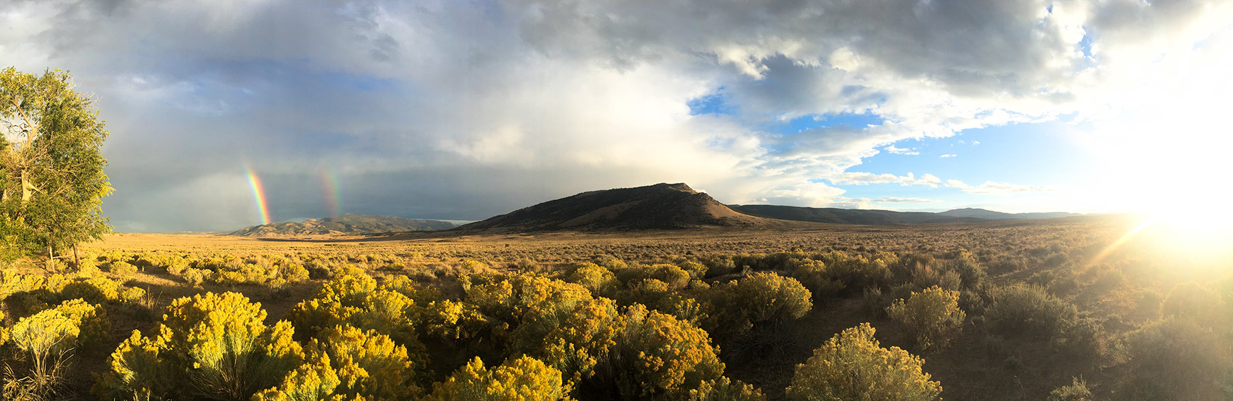 Snake River Land & Cattle Ranch property picture 6 of 59