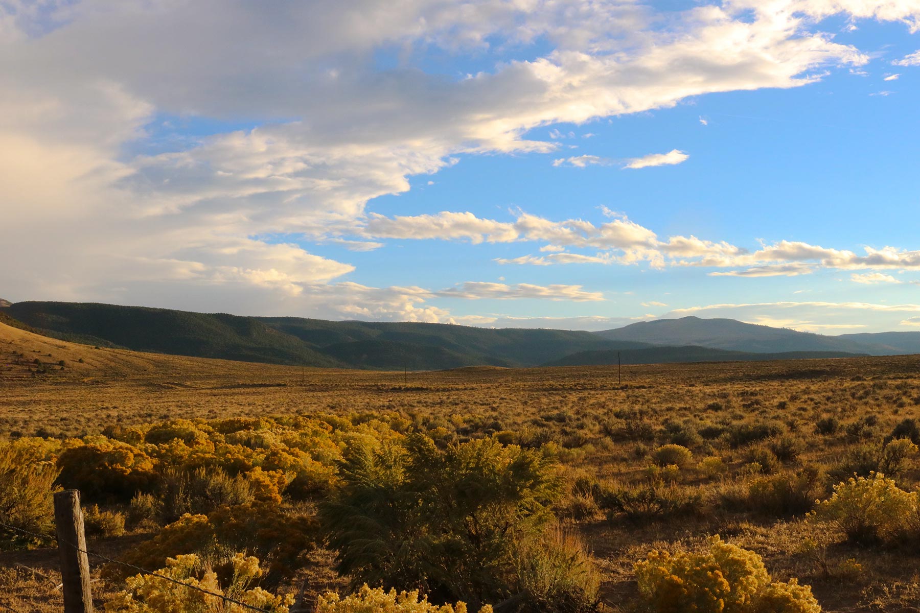 Snake River Land & Cattle Ranch property picture 17 of 59