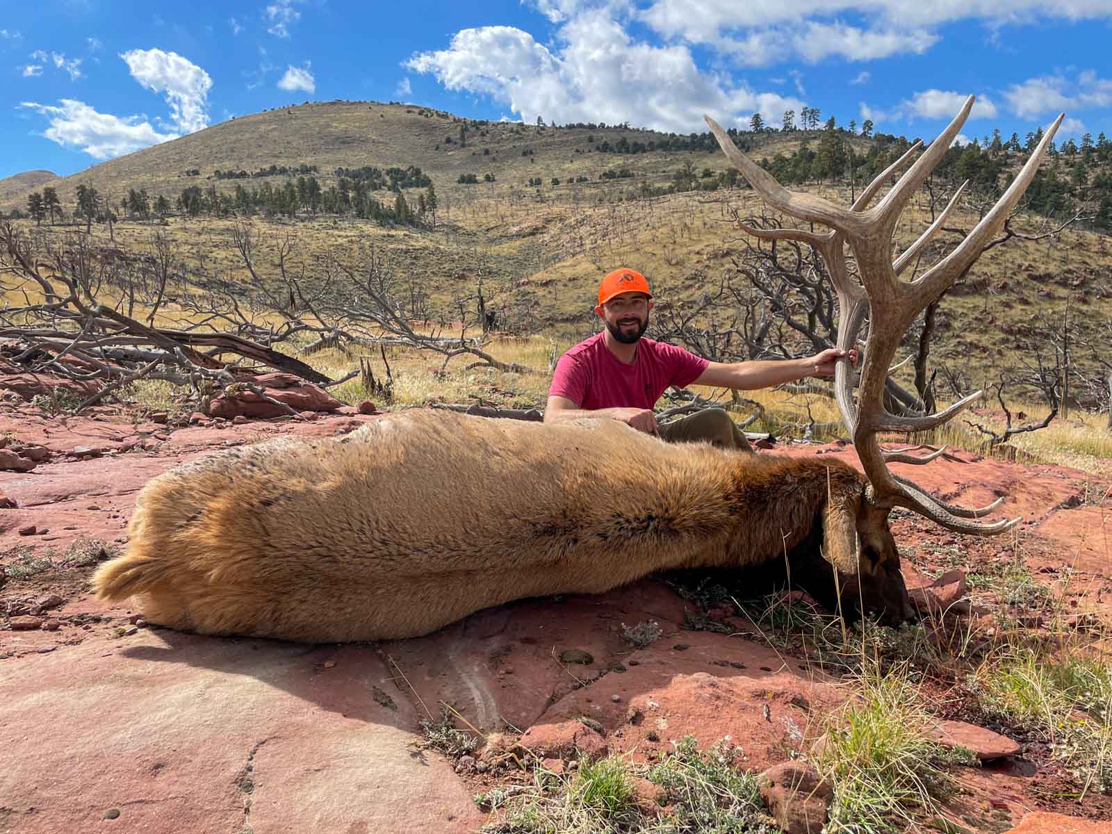 Snake River Land & Cattle Ranch property picture 5 of 59