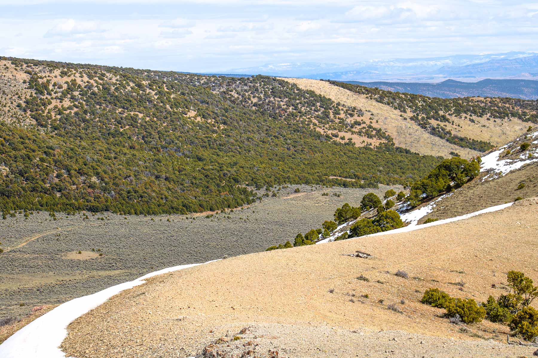 Snake River Land & Cattle Ranch Hall and Hall