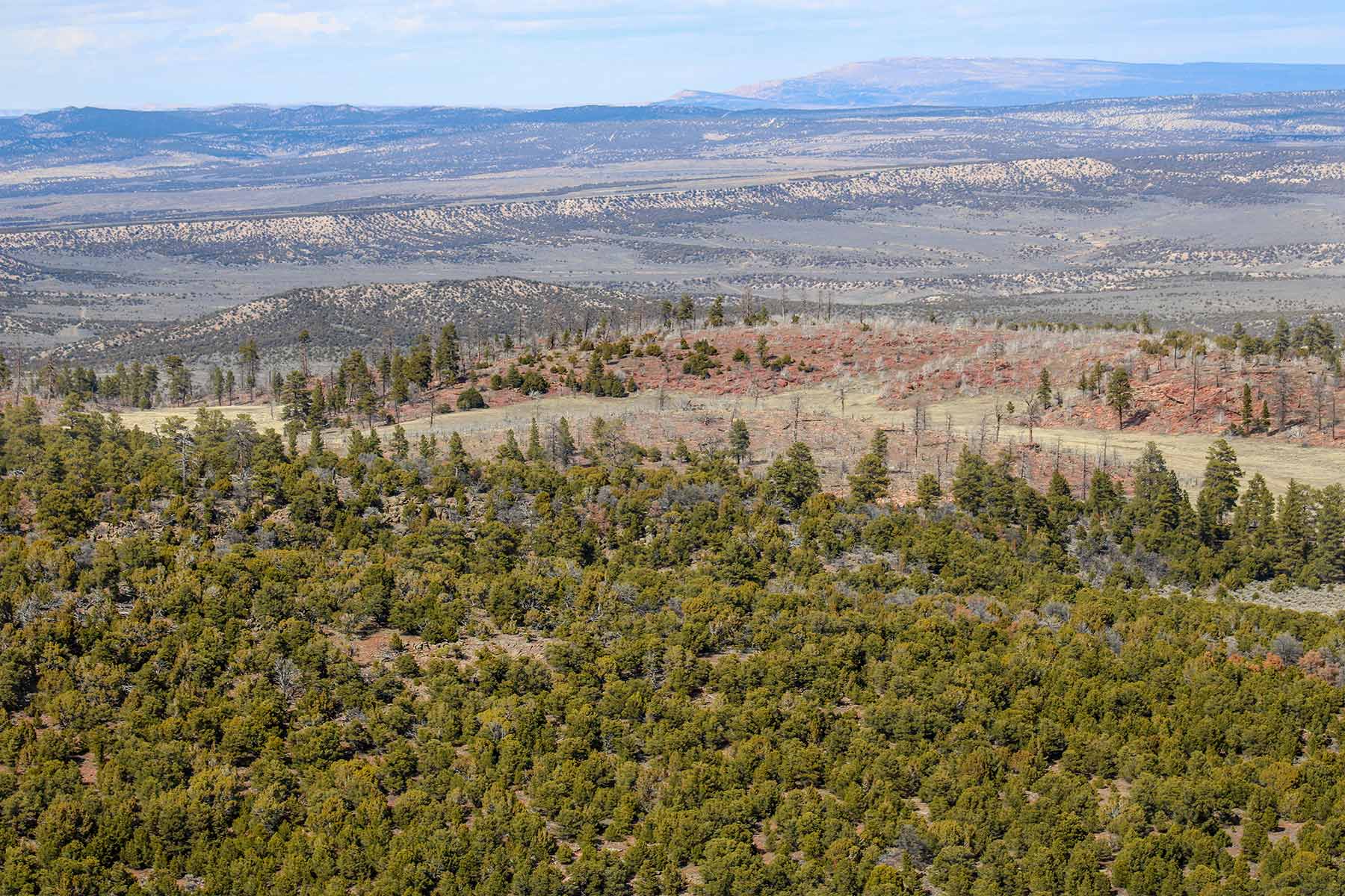 Snake River Land & Cattle Ranch Hall and Hall