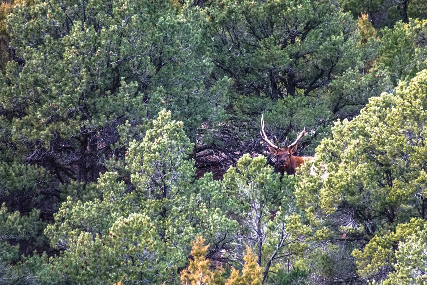 Snake River Land & Cattle Ranch property picture 14 of 59