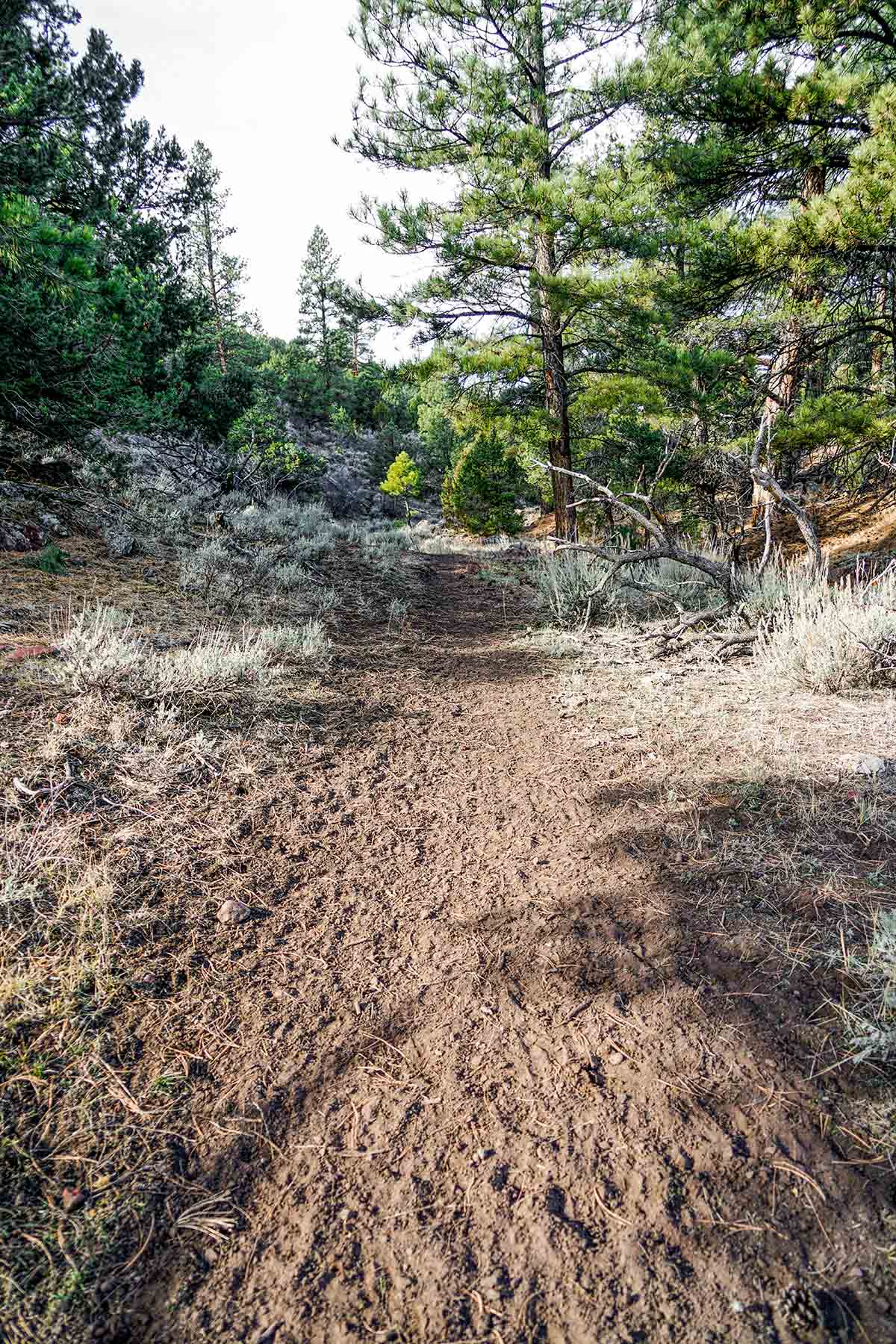 Snake River Land & Cattle Ranch property picture 16 of 59