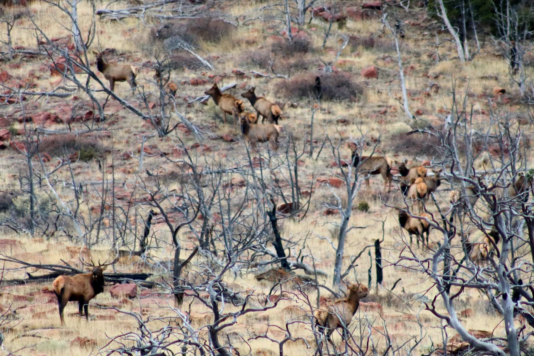 Snake River Land & Cattle Ranch Hall and Hall