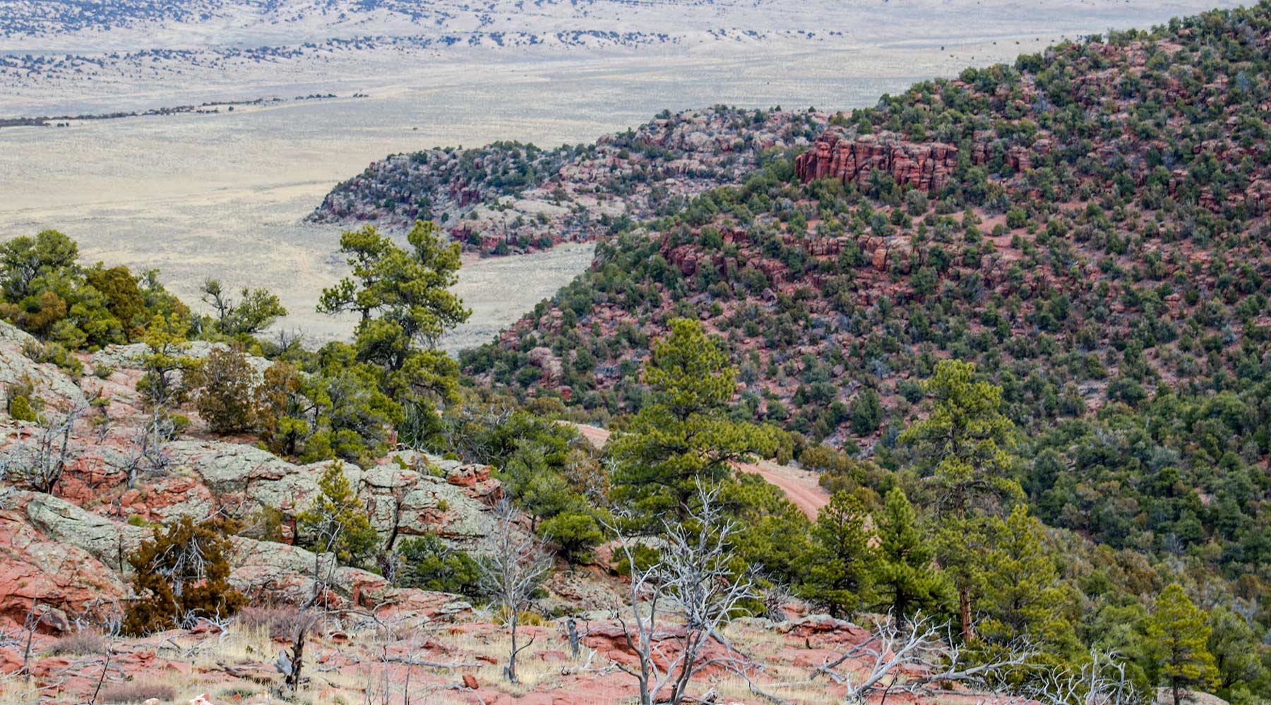 Snake River Land & Cattle Ranch Hall and Hall