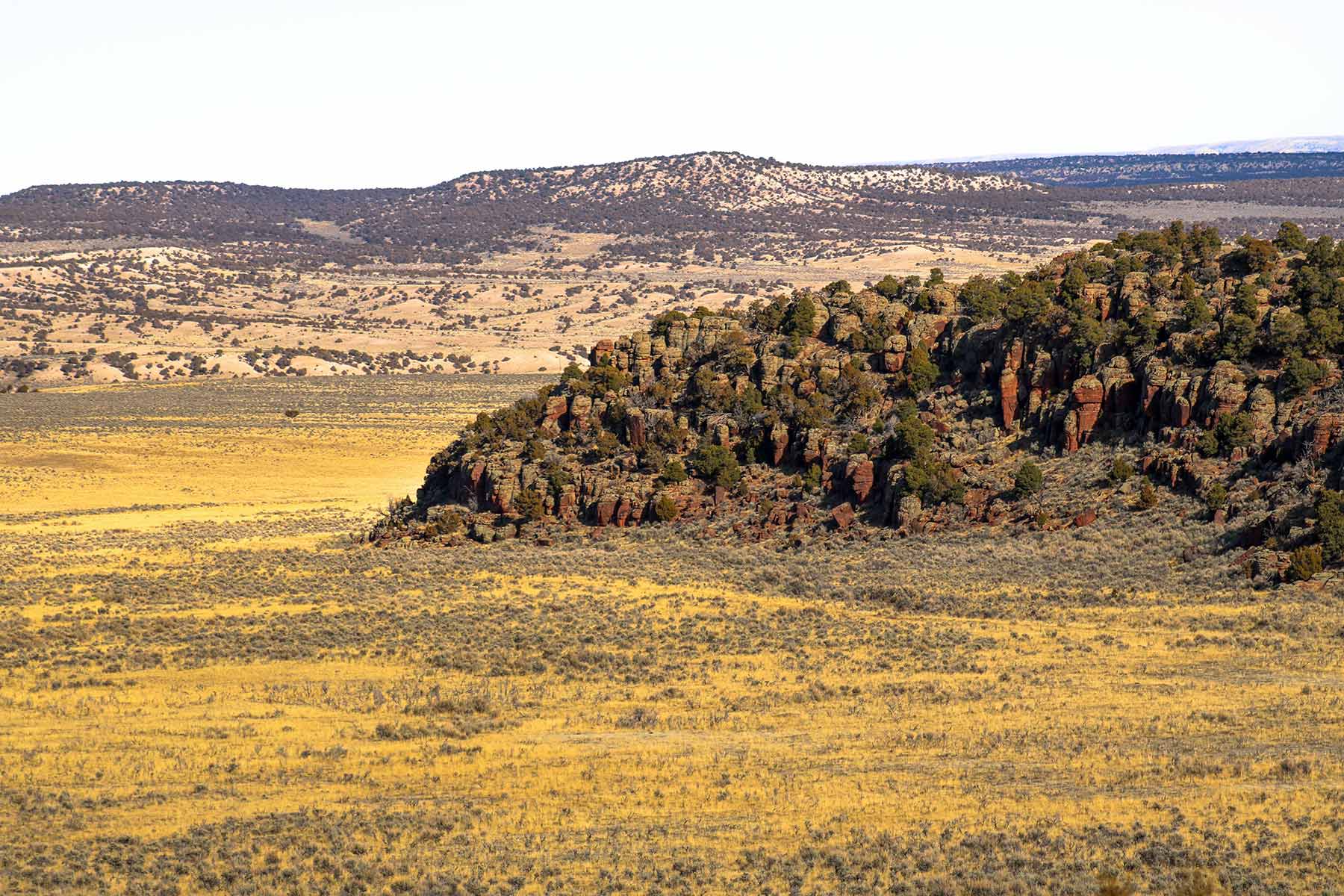 Snake River Land & Cattle Ranch Hall and Hall