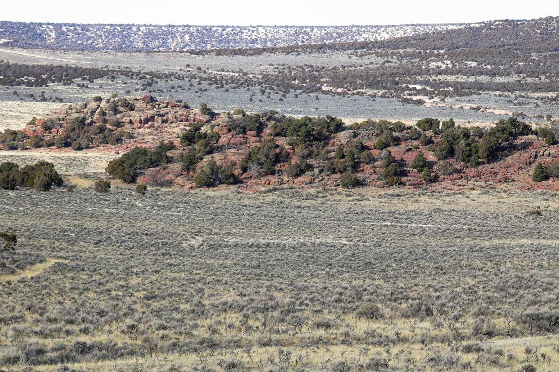 Snake River Land & Cattle Ranch property picture 37 of 59