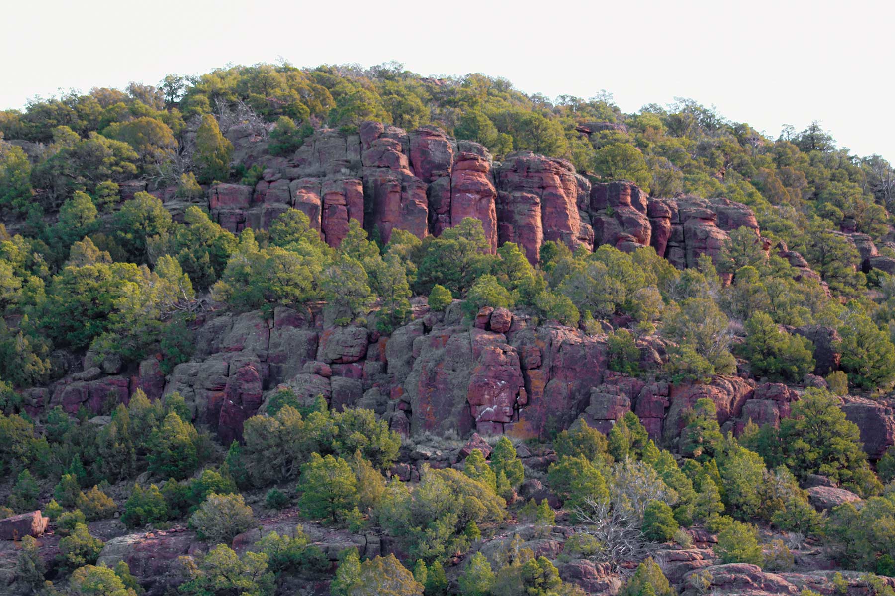 Snake River Land & Cattle Ranch property picture 24 of 59