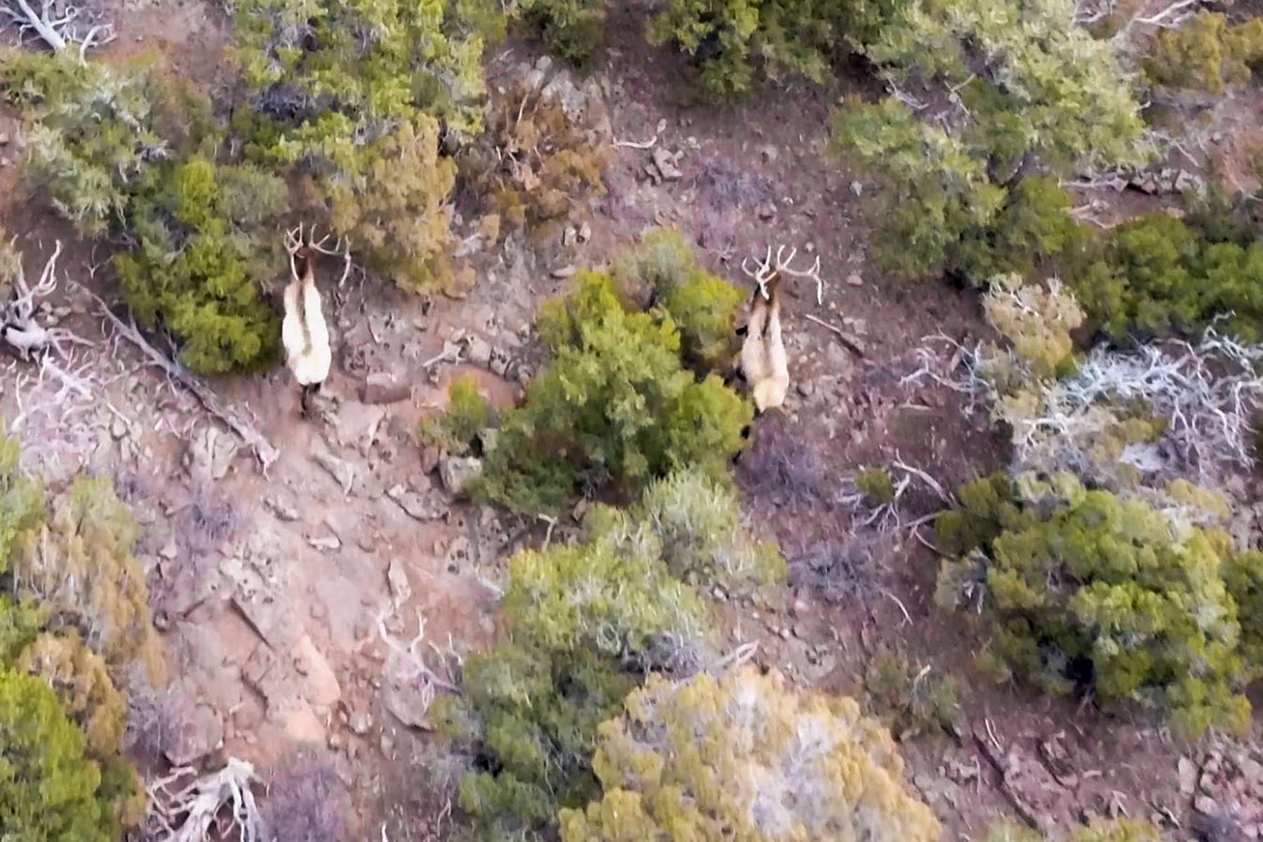 Snake River Land & Cattle Ranch property picture 31 of 59