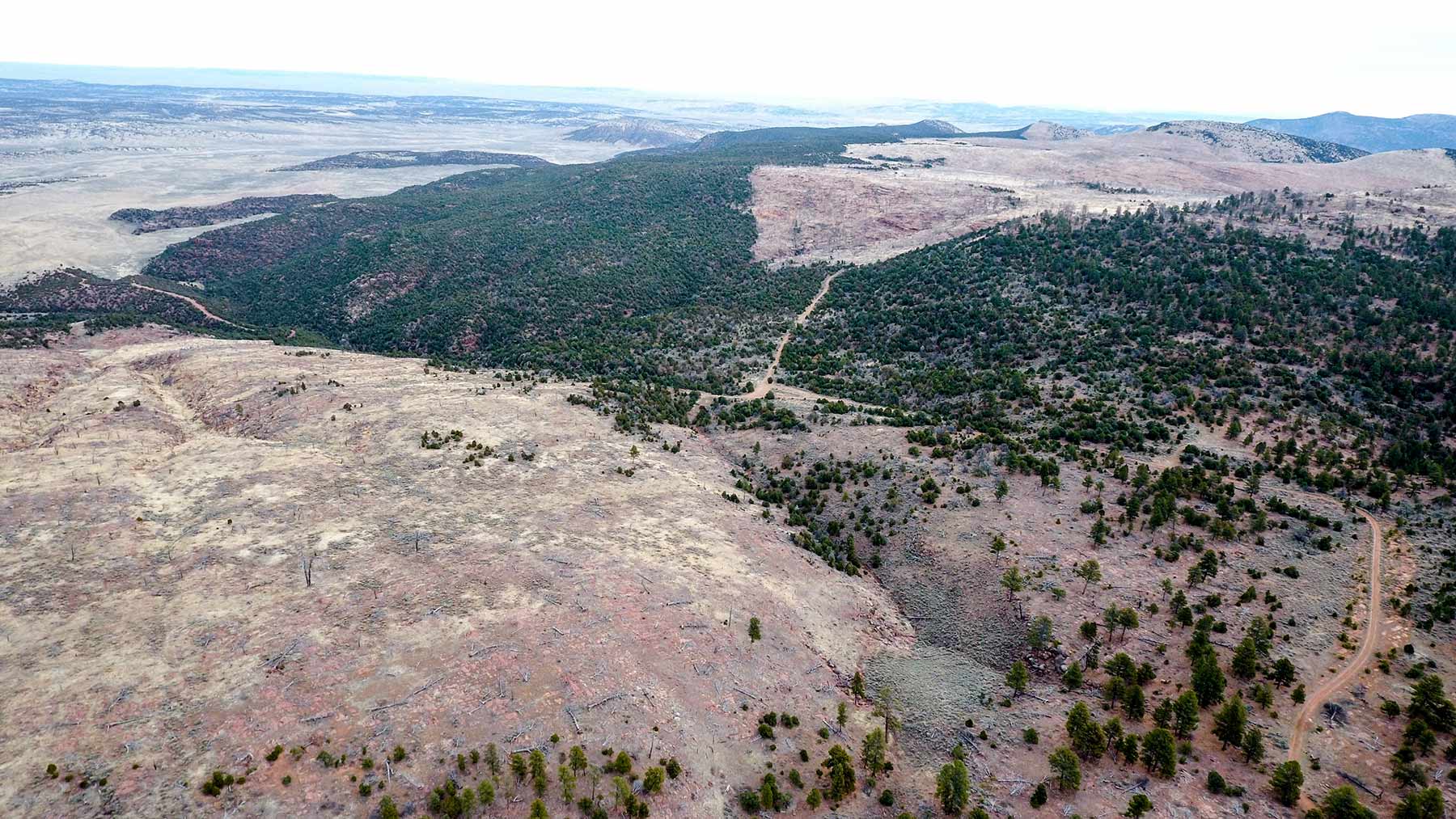 Snake River Land & Cattle Ranch Hall and Hall