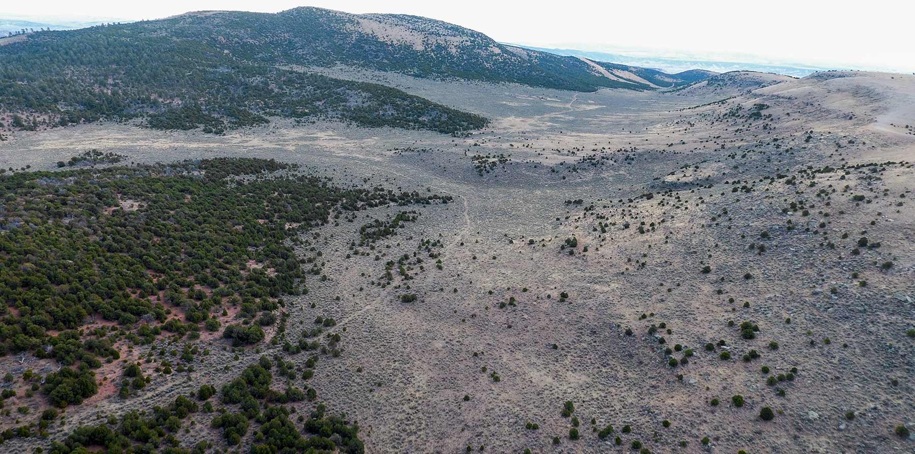 Snake River Land & Cattle Ranch Hall and Hall
